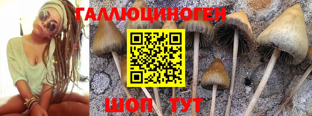 Псилоцибиновые грибы Magic Shrooms Печора