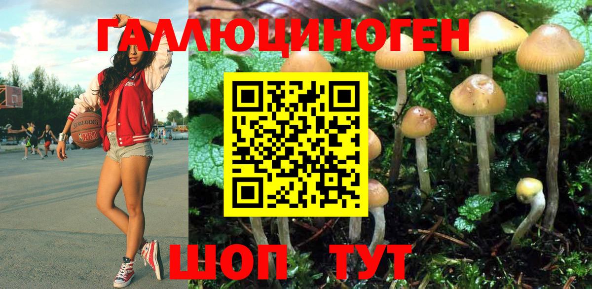 Псилоцибиновые грибы Magic Shrooms  Вход с VPN  Печора 